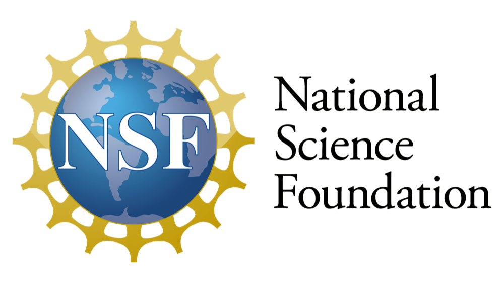 NSF emblem